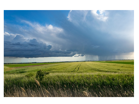 우주에서 농사짓기 &ndash; SF 속 우주 농장과 현실 연구 비교
