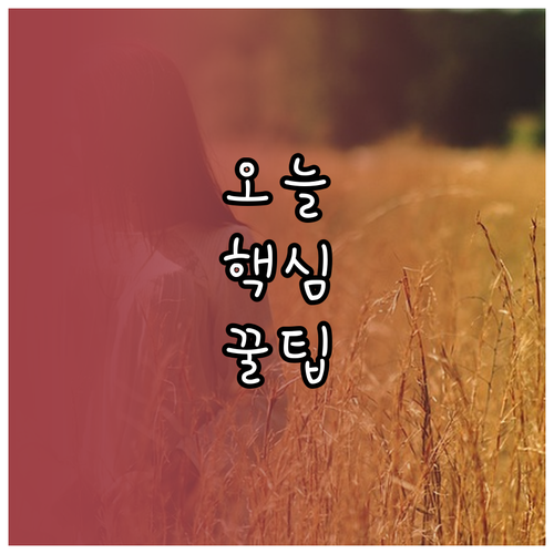 전기료 폭탄 막는 에어컨 필터, 올바..