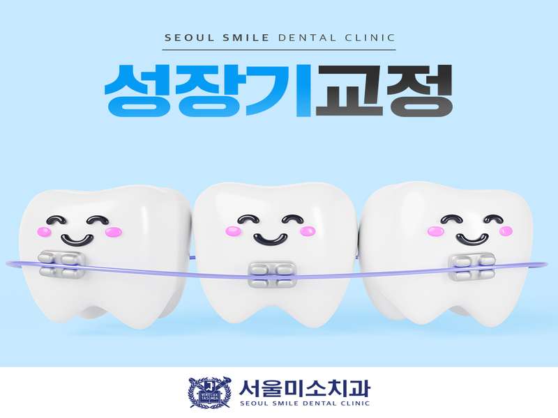 울산 동구 임플란트 치과 BEST4 | 가격비교 | 추천 | 후기 | 저렴한곳 | 전문 병원 | 총정리 - 2. 서울미소치과의원 소개 - 2.1 서울미소치과의 특징 2.1 서울미소치과의 특징