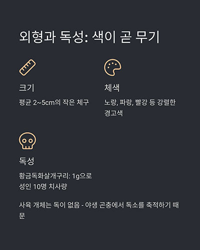 색이 곧 무기, 그 자체로 방어