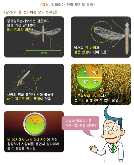 말라리아 전파 모기의 특징