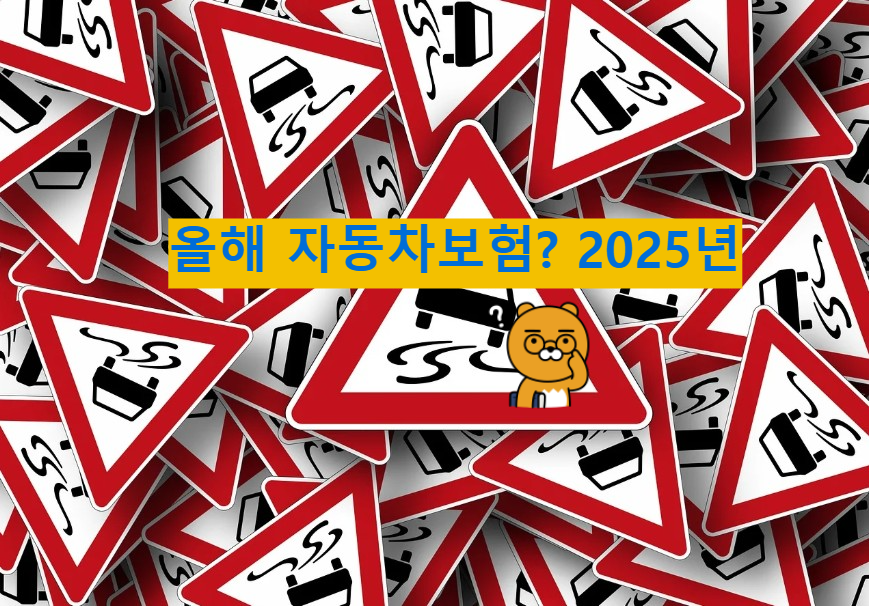 2025년 바뀐 자동차 보험