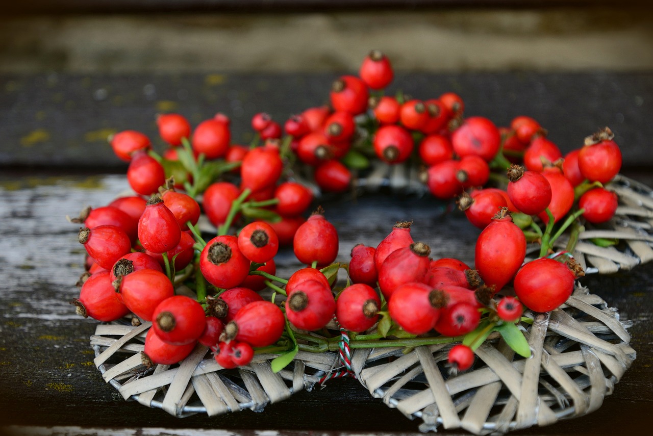 Rosehip2