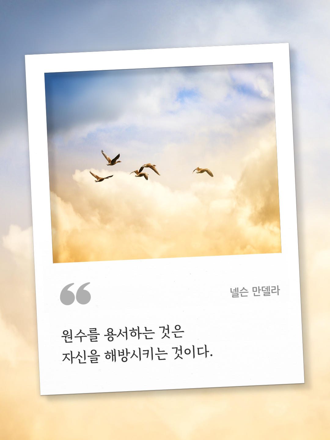 원수를 용서하는 것은 자신을 해방시키는 것이다. (넬슨 만델라) by 피어나네 오늘의 명언 좋은 글귀 이미지 다운로드