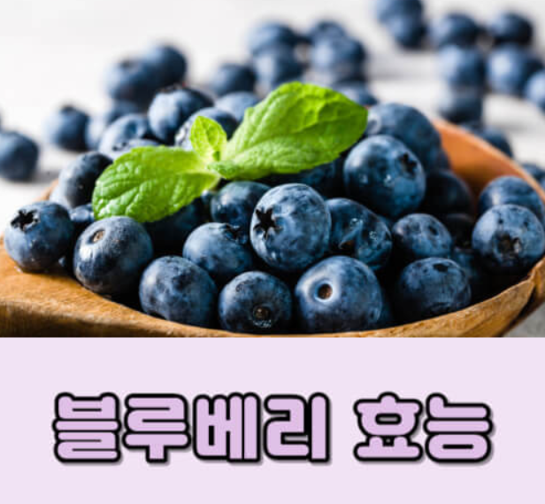 블루베리 효능
