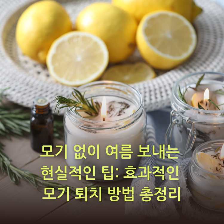 허브가-들어-있는-양초에-불이-켜져-있는-이미지