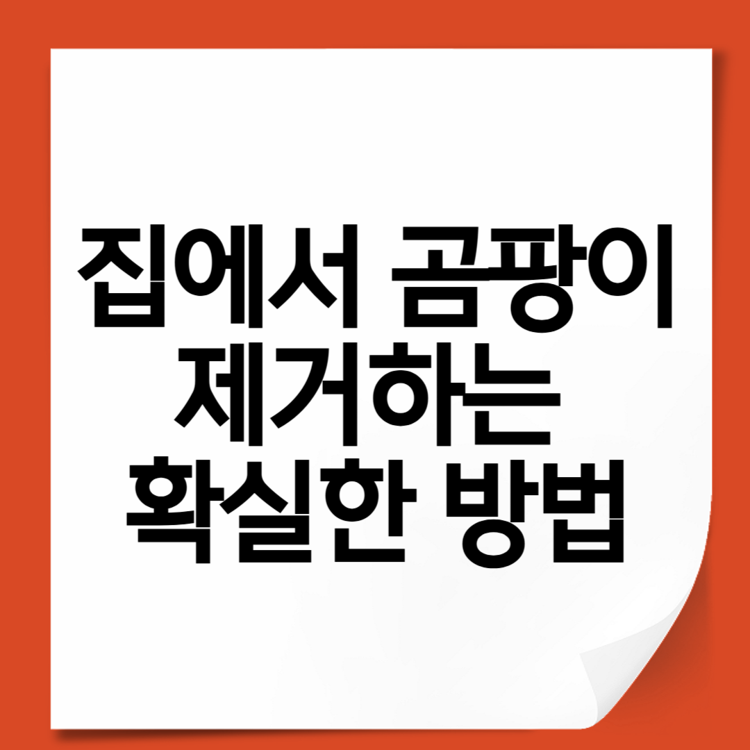 집에서 곰팡이 제거하는 확실한 방법
