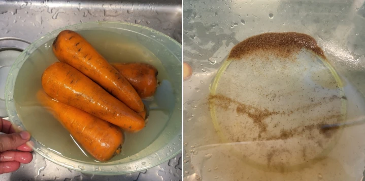 씻은당근과-씻긴흙