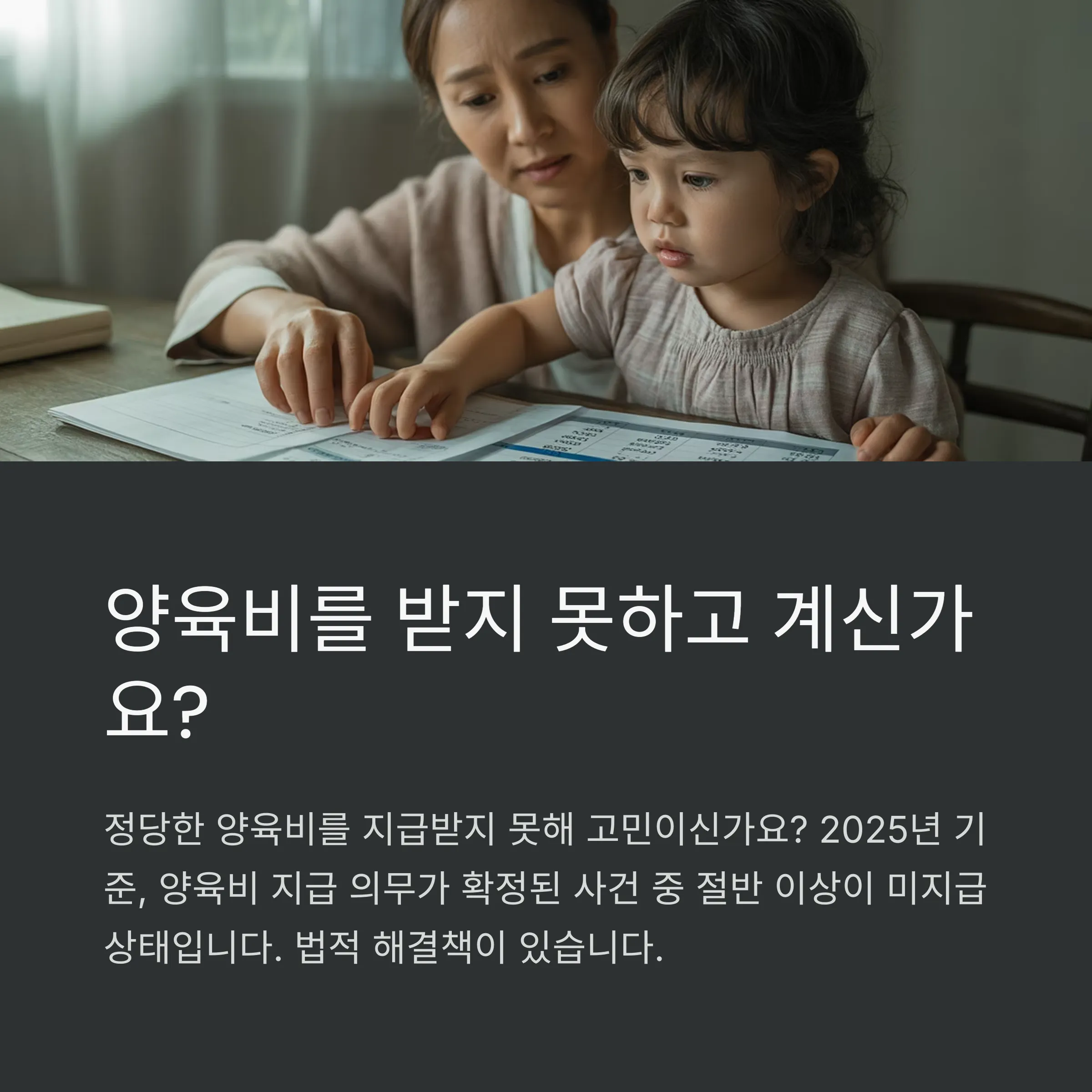 양육비 이행명령 신청