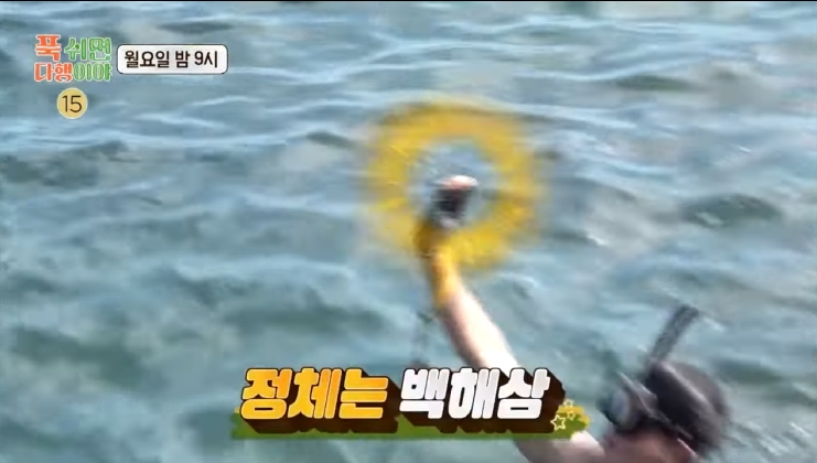 "푹 쉬면 다행이야" 백해삼