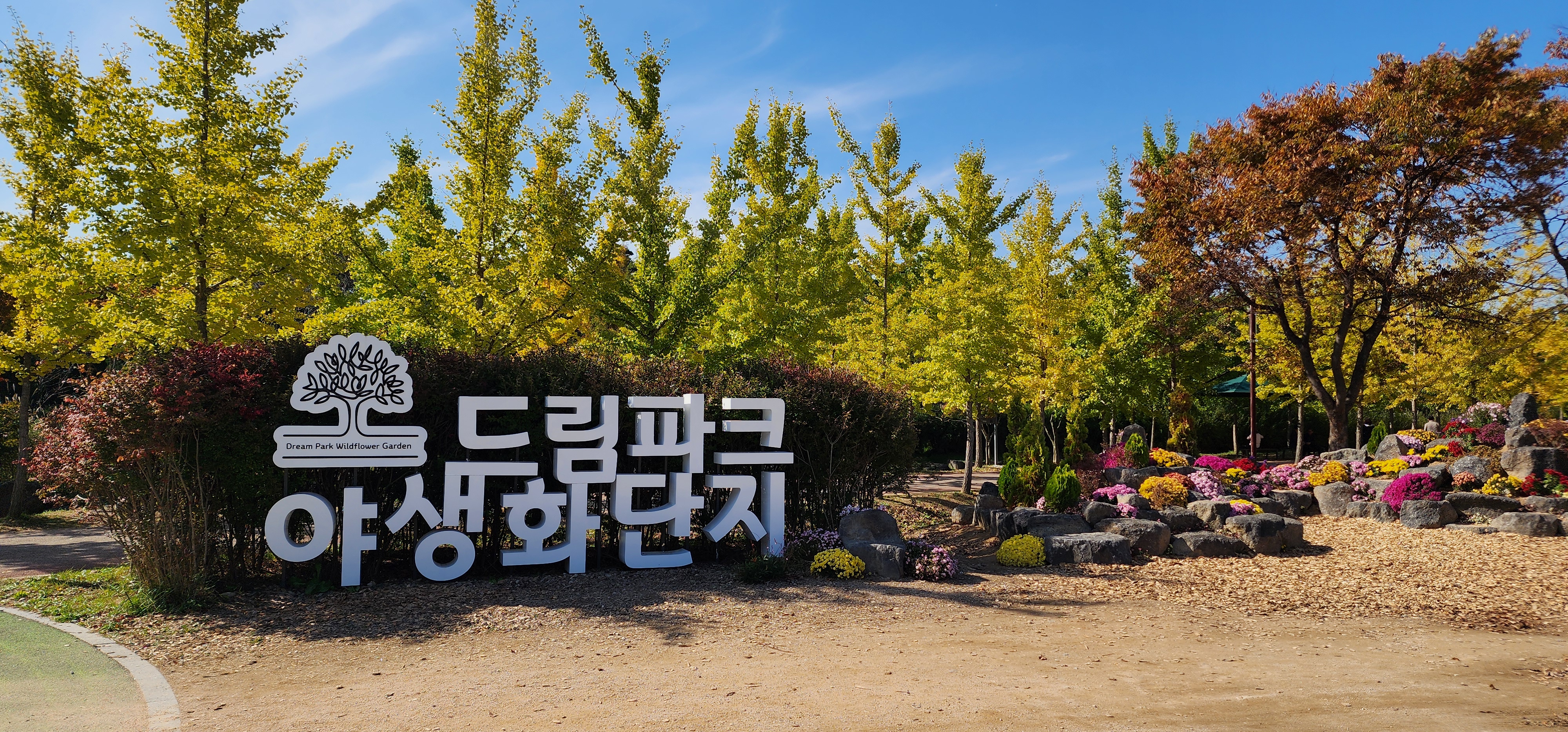 드림파크 야생화단지