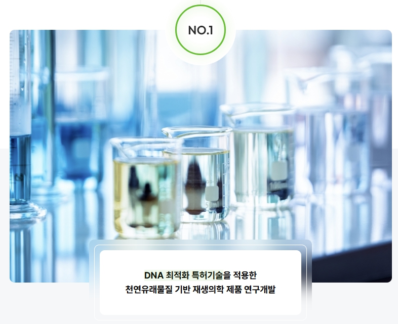 파마리서치 DNA 최적화 특허기술