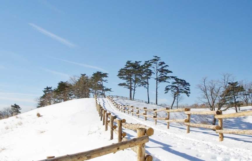 대관령 눈꽃마을