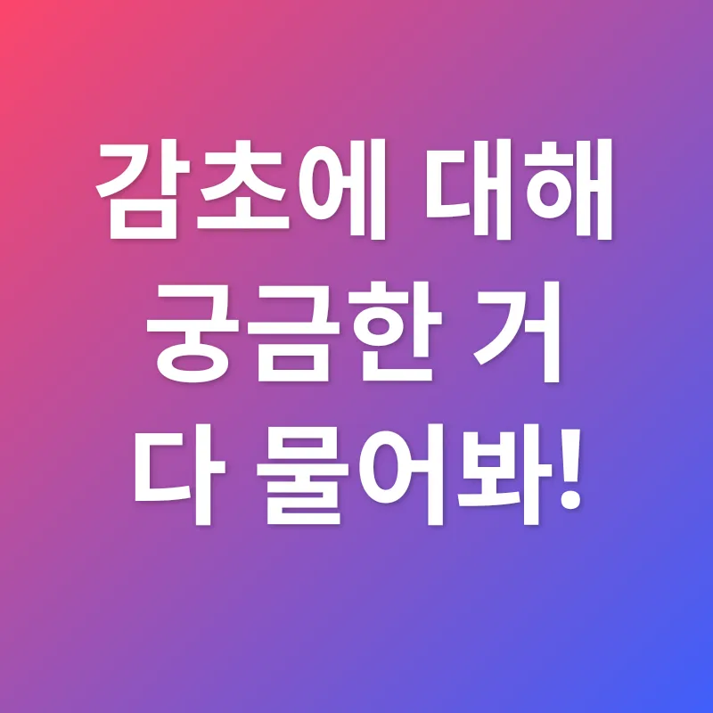 감초 활용법_4