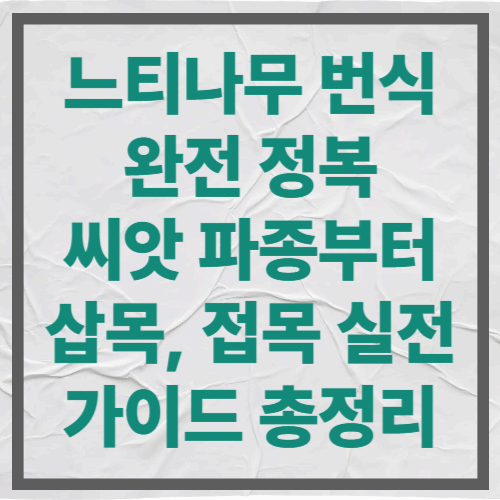 느티나무 번식 완전 정복｜씨앗 파종부터 삽목, 접목 실전 가이드 총정리