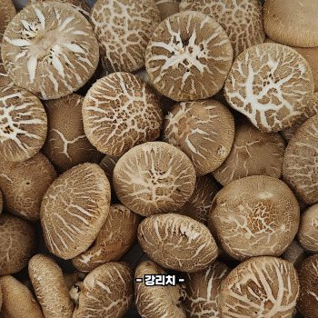 판토텐산 음식