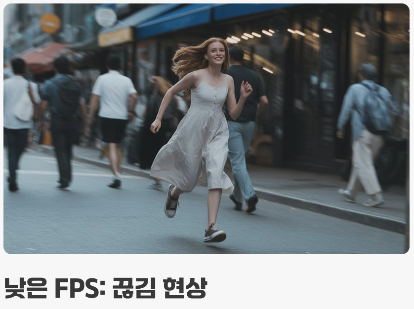 FPS&amp;#44; 1초에 그리는 그림의 수