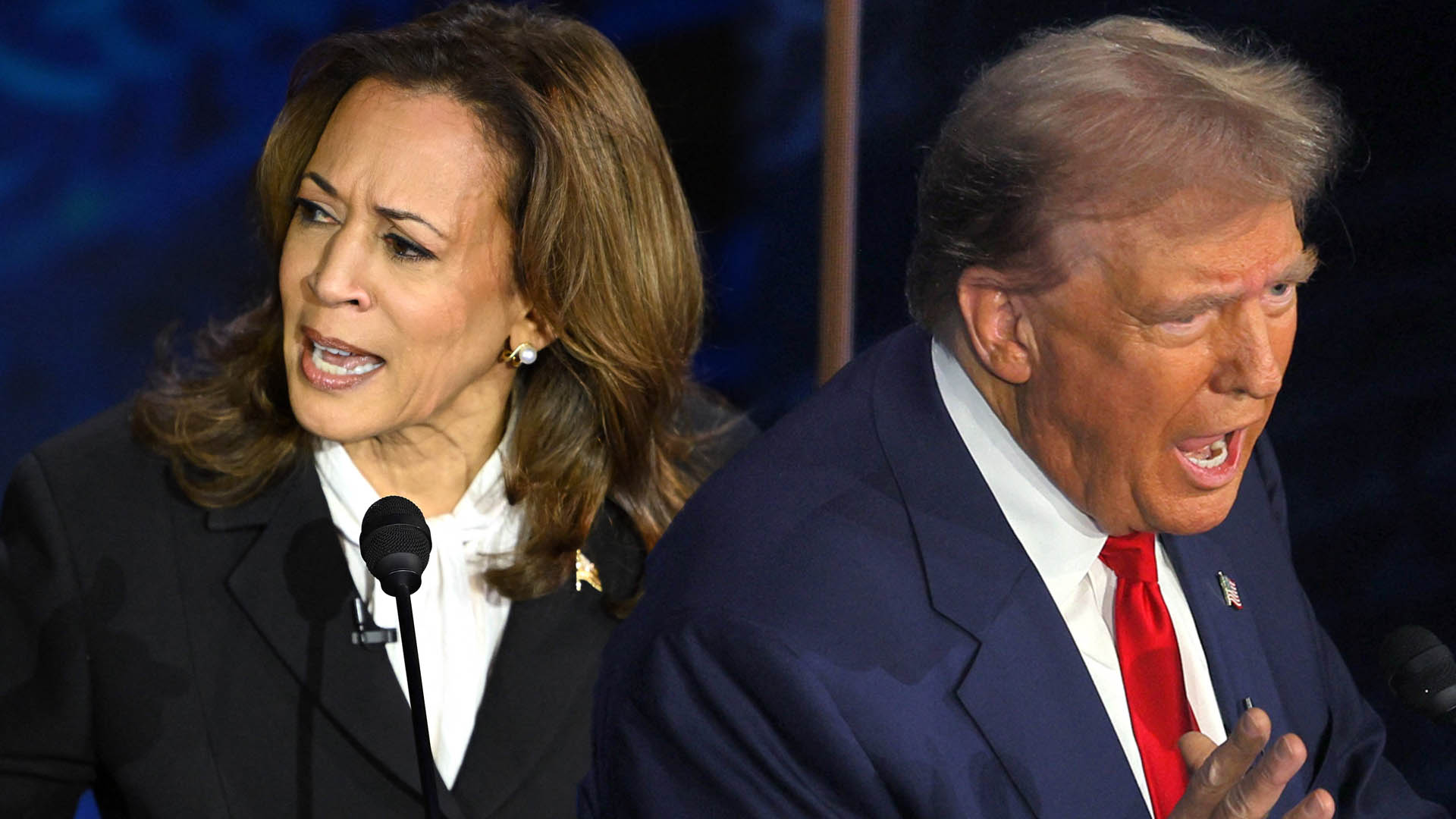 2024 미국 대선 개표 현황 실시간 결과 바로가기( feat.트럼프 해리스)