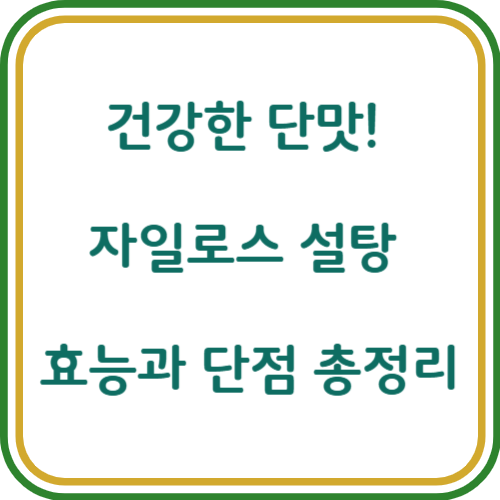자일로스 설탕 효능 및 단점