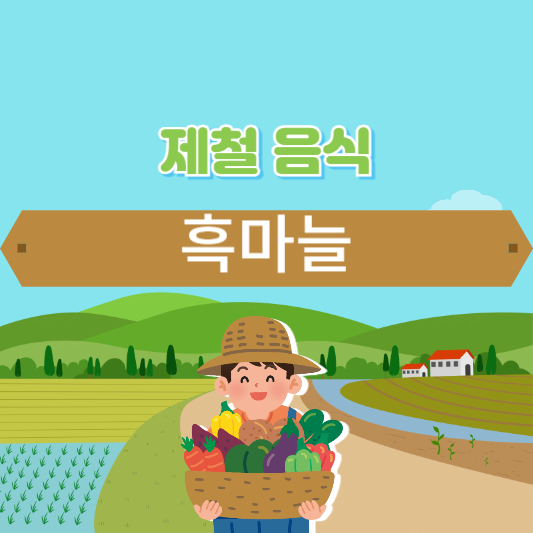 흑마늘의 효능과 부작용