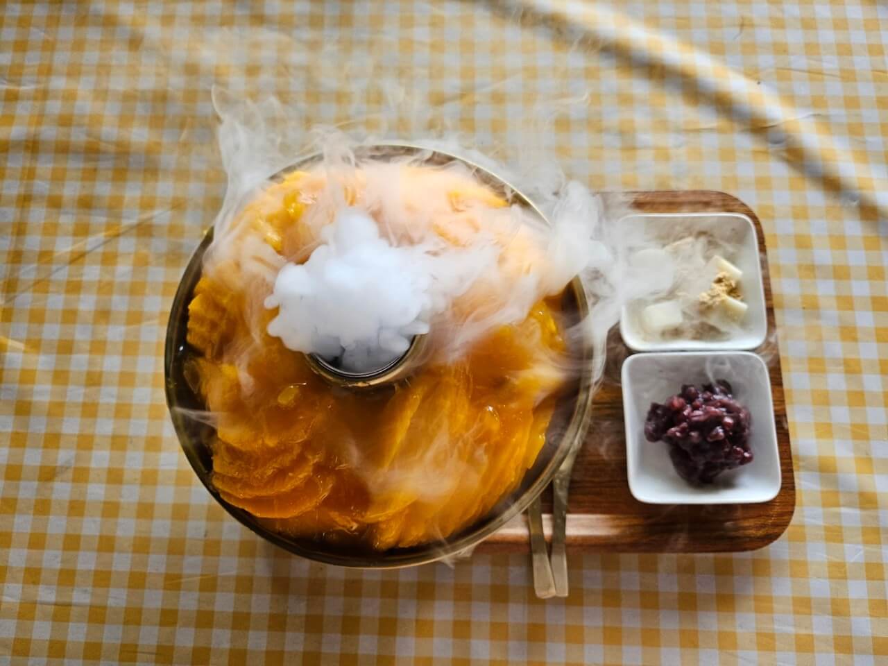 오늘N 대한민국 보물정원 강원 춘천 유기농 카페 오늘N 2503회