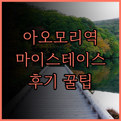 호텔 마이스테이스 아오모리 스테이션 
