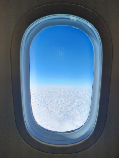 폴란드항공 비즈니스