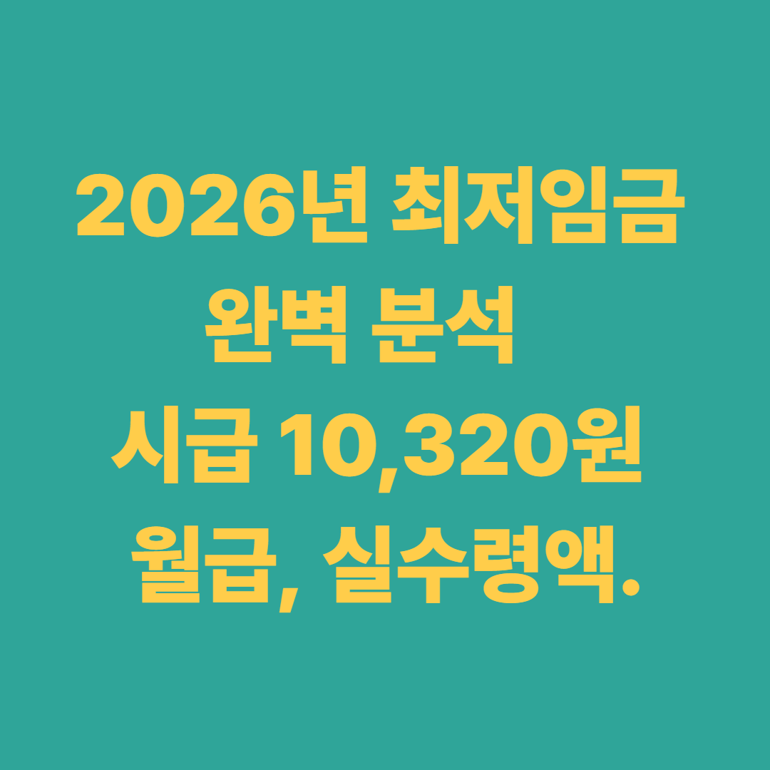 2026년 최저임금 완벽 분석