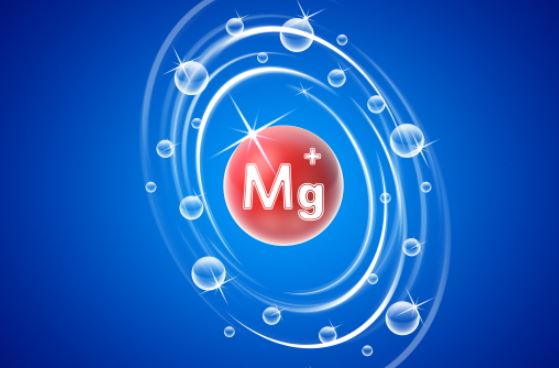 마그네슘효능