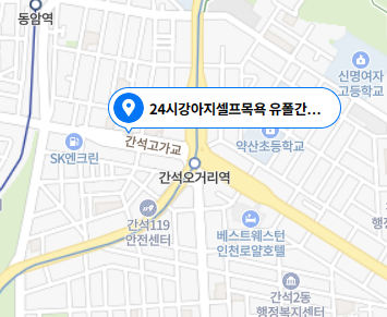 24시셀프애견목욕
