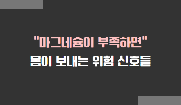 마그네슘 부족 증상과 체크 포인트, 그리고 섭취 방법