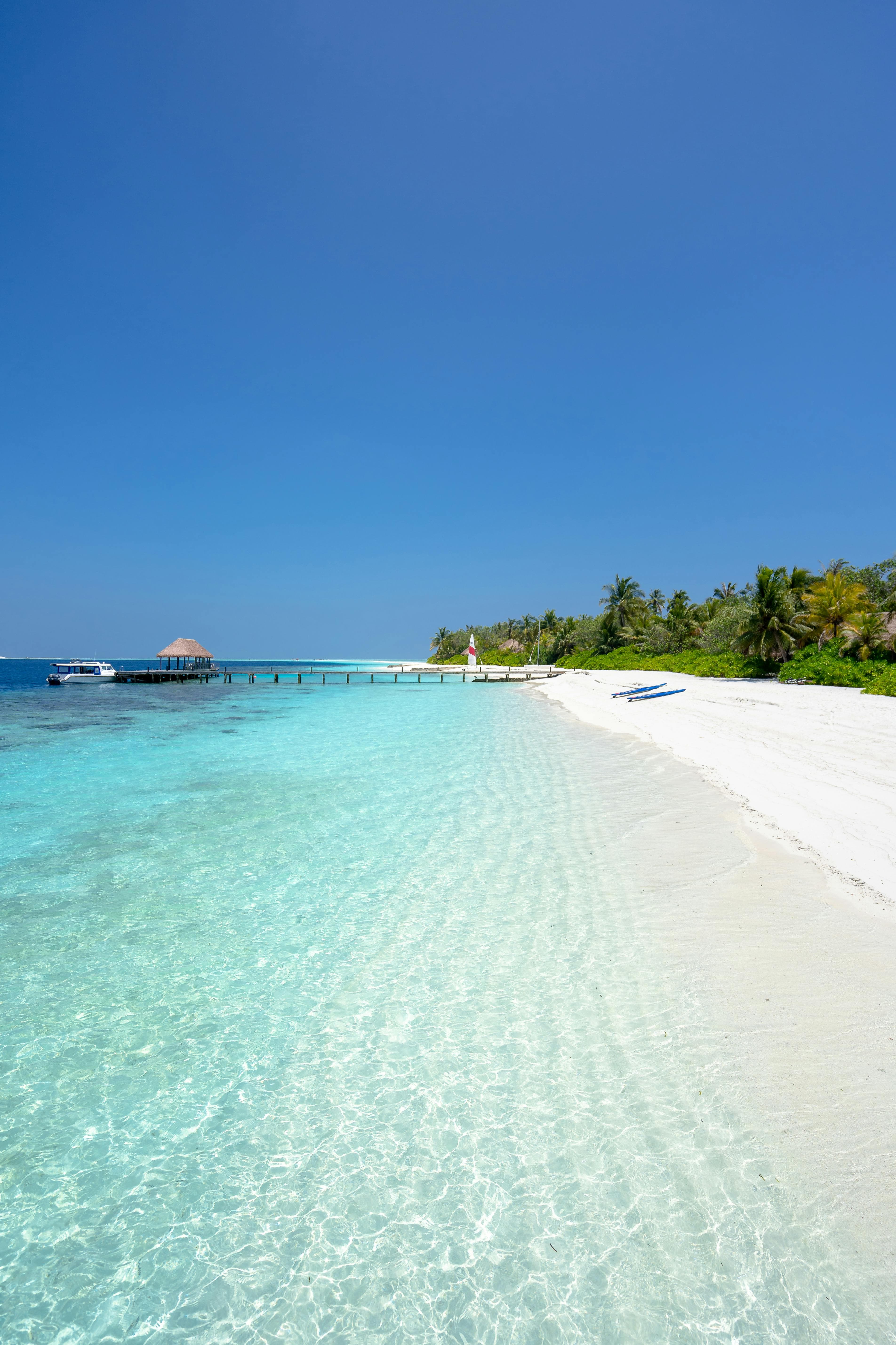 1/1 Moo 3 White Sand Beach&amp;#44; Koh Chang&amp;#44; Trat&amp;#44; Thailand