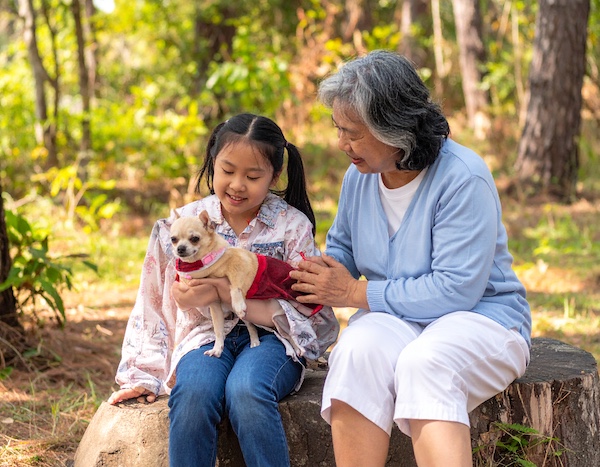 노인이 반려견과 함께 조용히 산책하는 모습