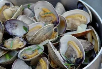 바지락 효능 보관방법 씻는법 해감시키는법_8