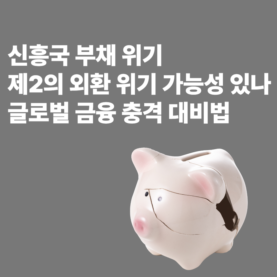 신흥국부채위기