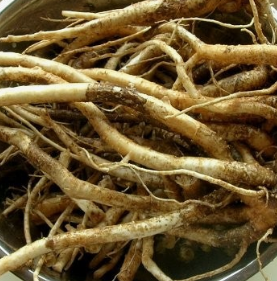 도라지 효능 부작용 고르는법 먹는법 꽃 총정리