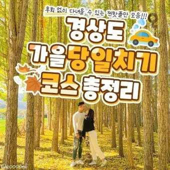 경상도 가을 여행하기 좋은 곳 여행지 추천 10곳으로 묶음_9