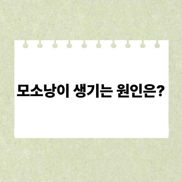 모소낭 원인