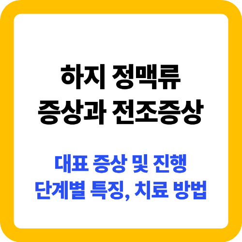 하지 정맥류 증상과 전조증상, 단계별 특징 및 치료 방법