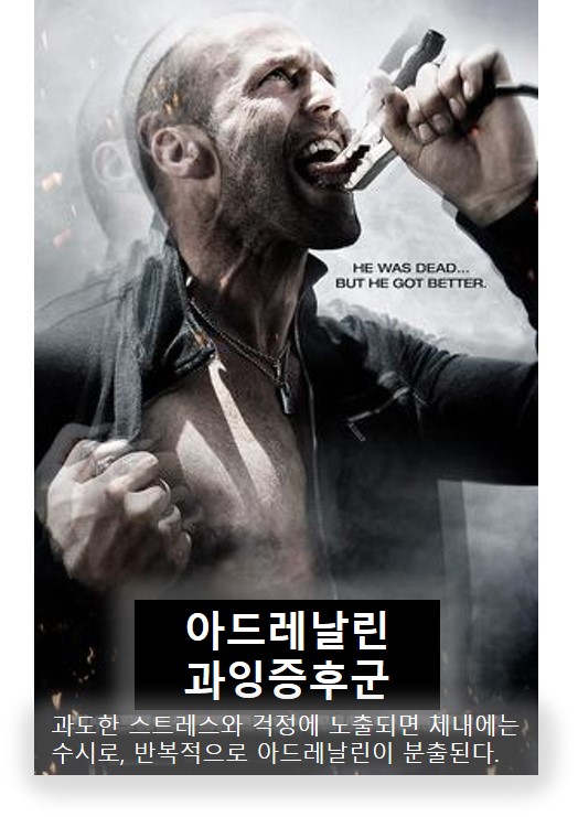 혈관건강