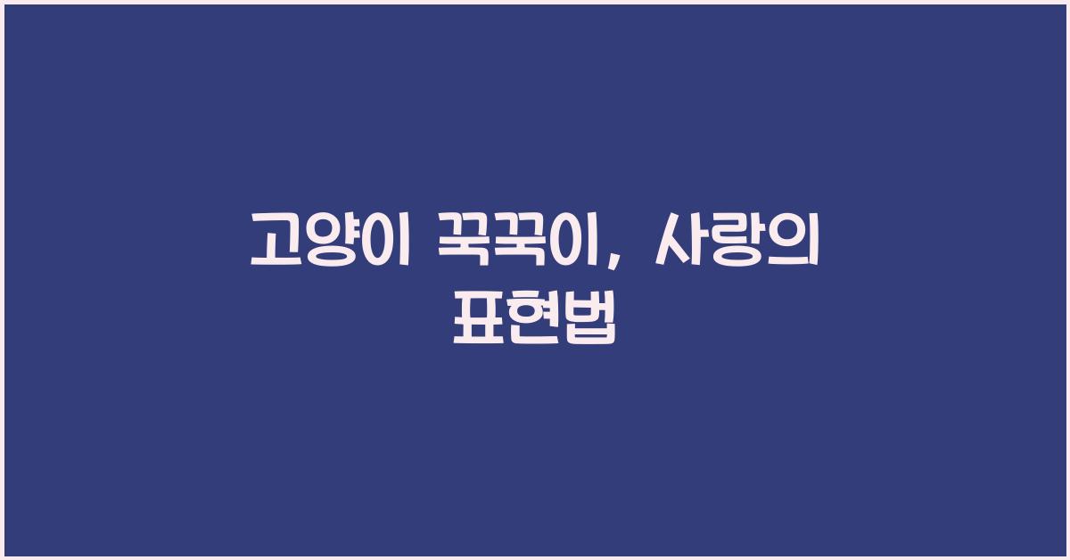 고양이 꾹꾹이
