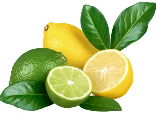 역류성 식도염에 좋은 음식 피해야 할 나쁜 음식