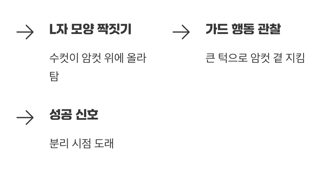 사랑의 신호, 짝짓기 가드란?