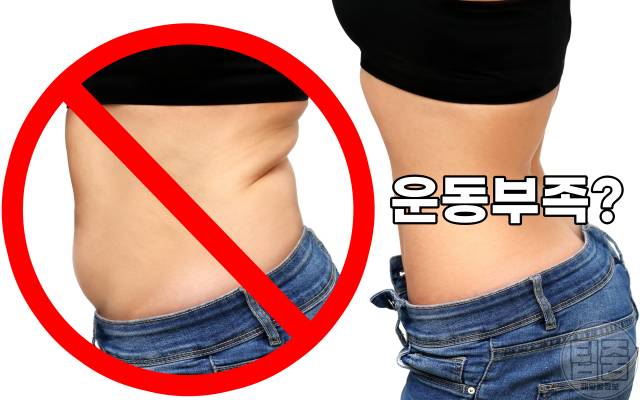 운동부족 증상 병 테스트 뱃살