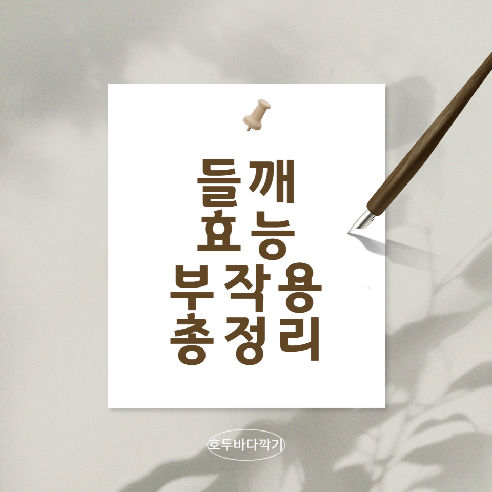 들깨-효능과-부작용-다양한-레시피에-대한-총정리-문구-사진