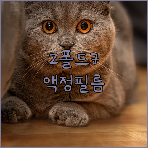 Z폴드7 액정 필름 완벽 가이드 풀가..