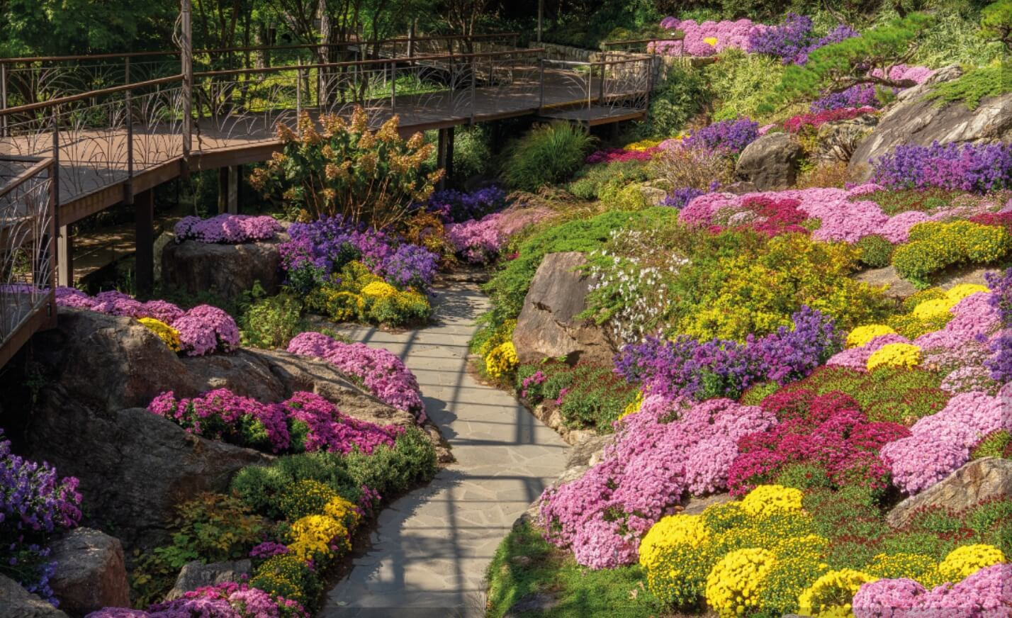 11월 화담숲: 가을의 끝자락에서 즐기는 단풍과 겨울 풍경