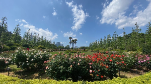 도쿄 여행 추천 신주쿠 교엔