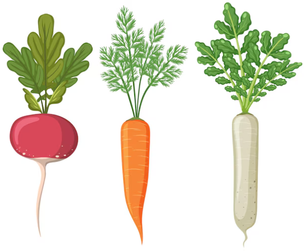 8월에 심는 작물 종류 여름 텃밭 주말농장 씨앗 모종 키우기 추천 TOP 101