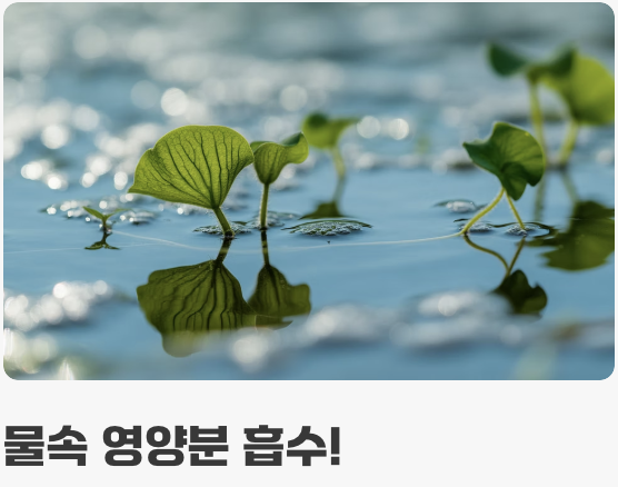 바닥재? NO! '떠다니는 숲'의 매력